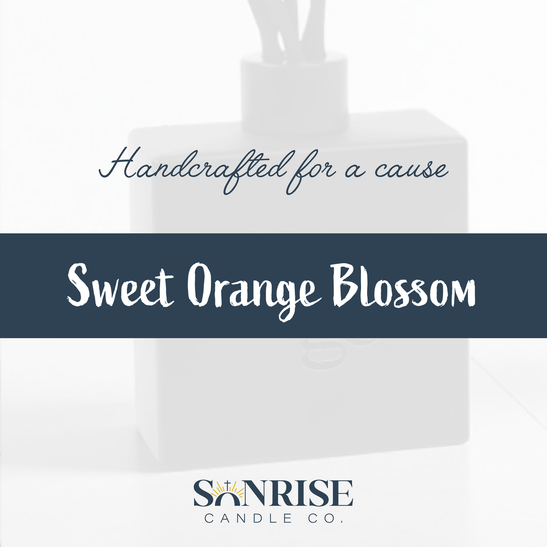 Sweet Orange Blosson