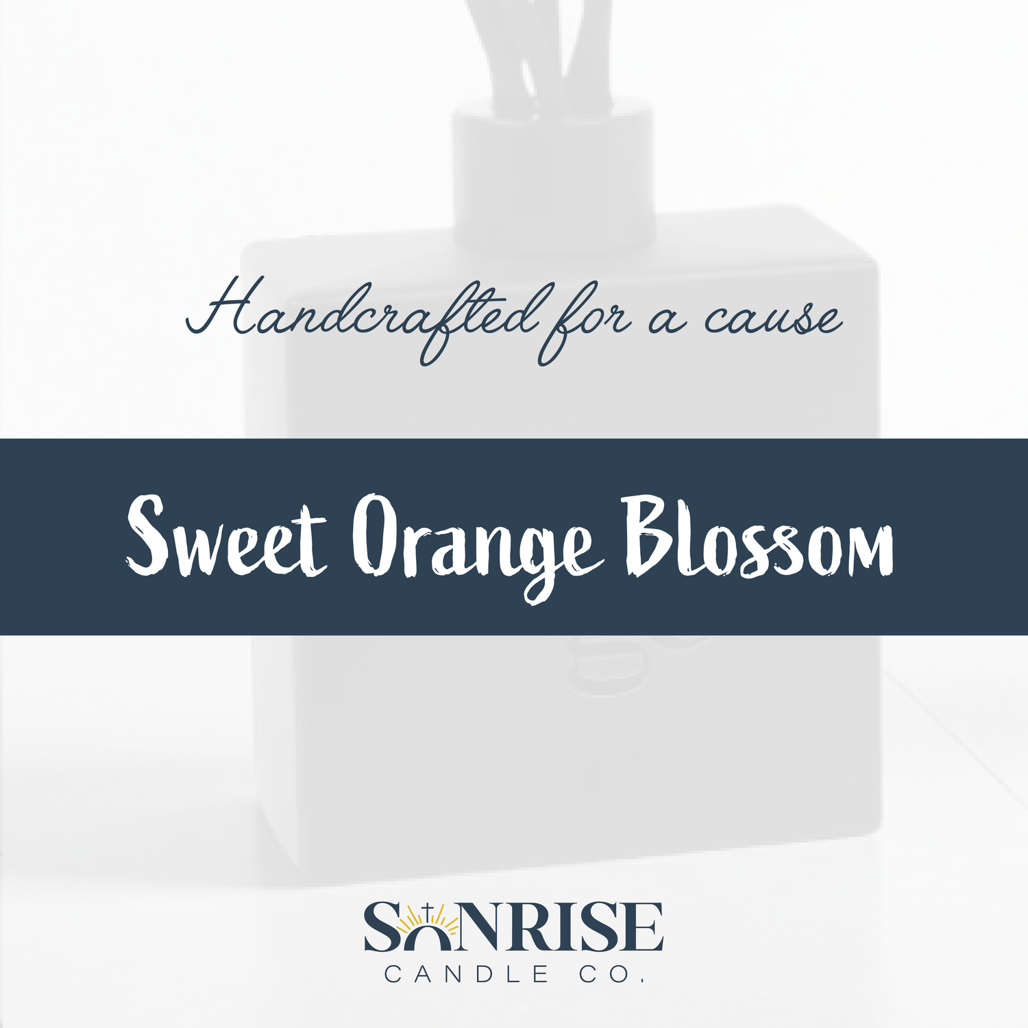 Sweet Orange Blosson