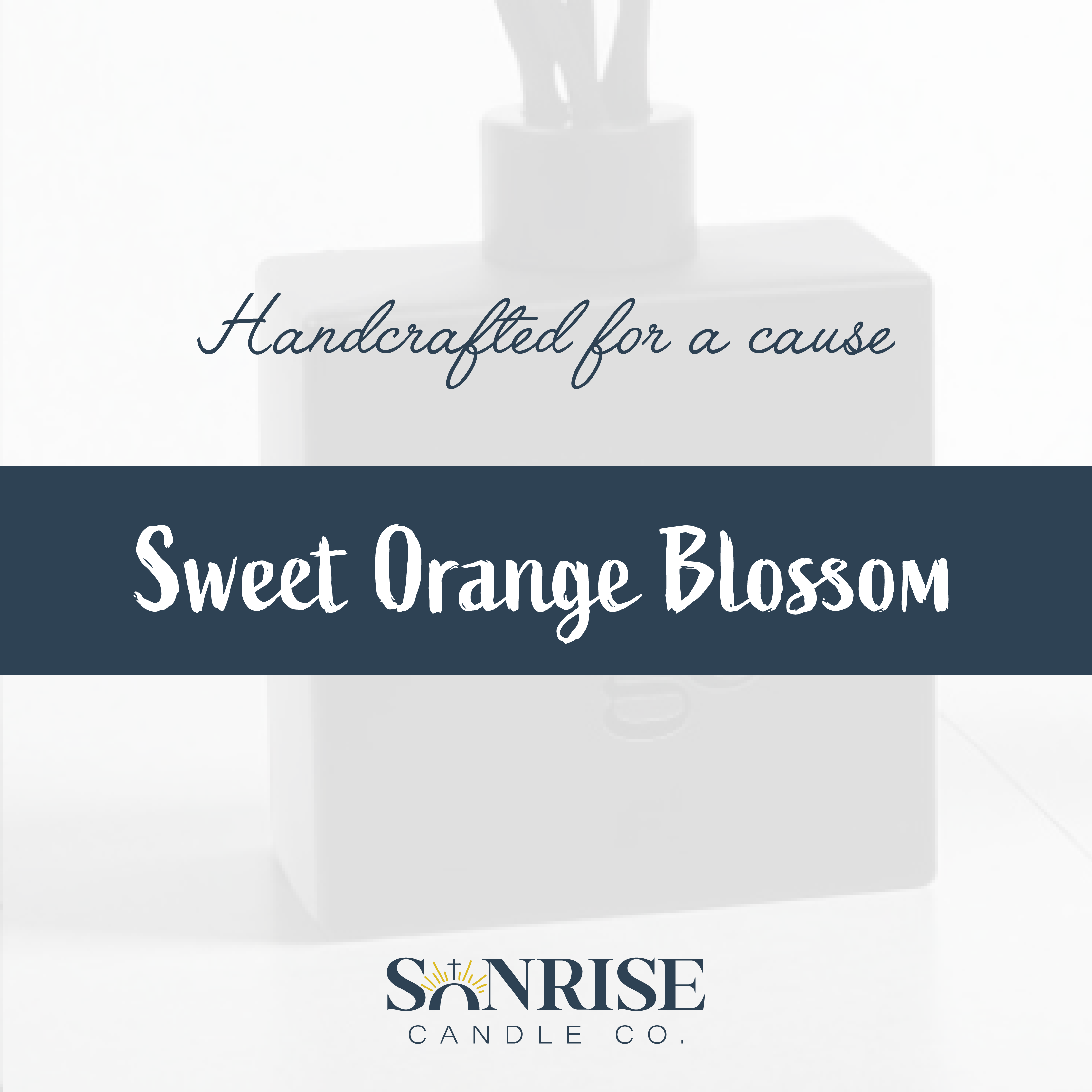 Sweet Orange Blosson